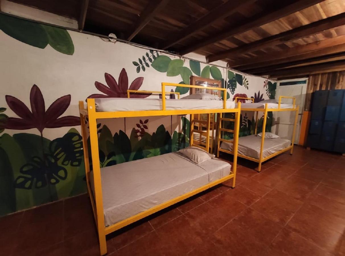Madre Selva Hostel Puerto Viejo de Talamanca Buitenkant foto