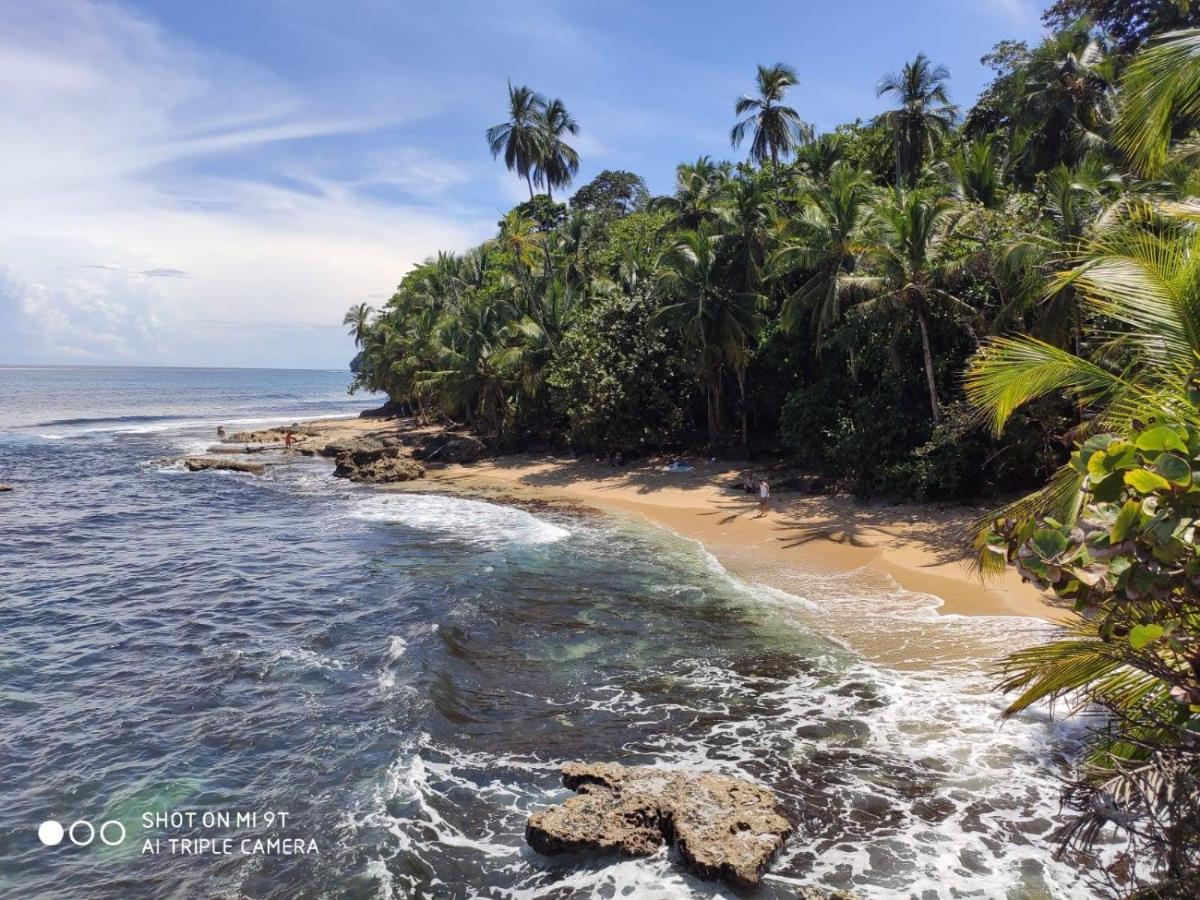 Madre Selva Hostel Puerto Viejo de Talamanca Buitenkant foto
