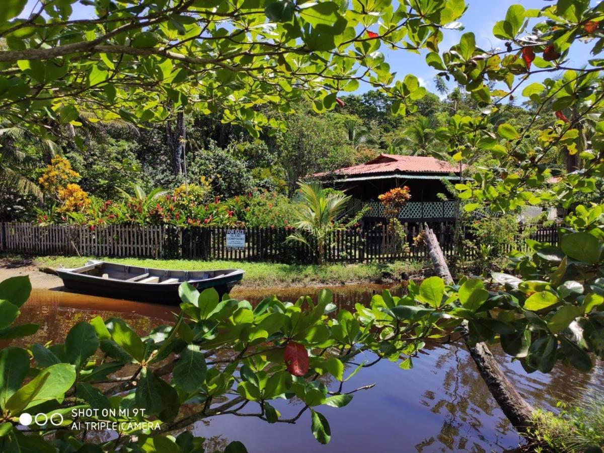 Madre Selva Hostel Puerto Viejo de Talamanca Buitenkant foto