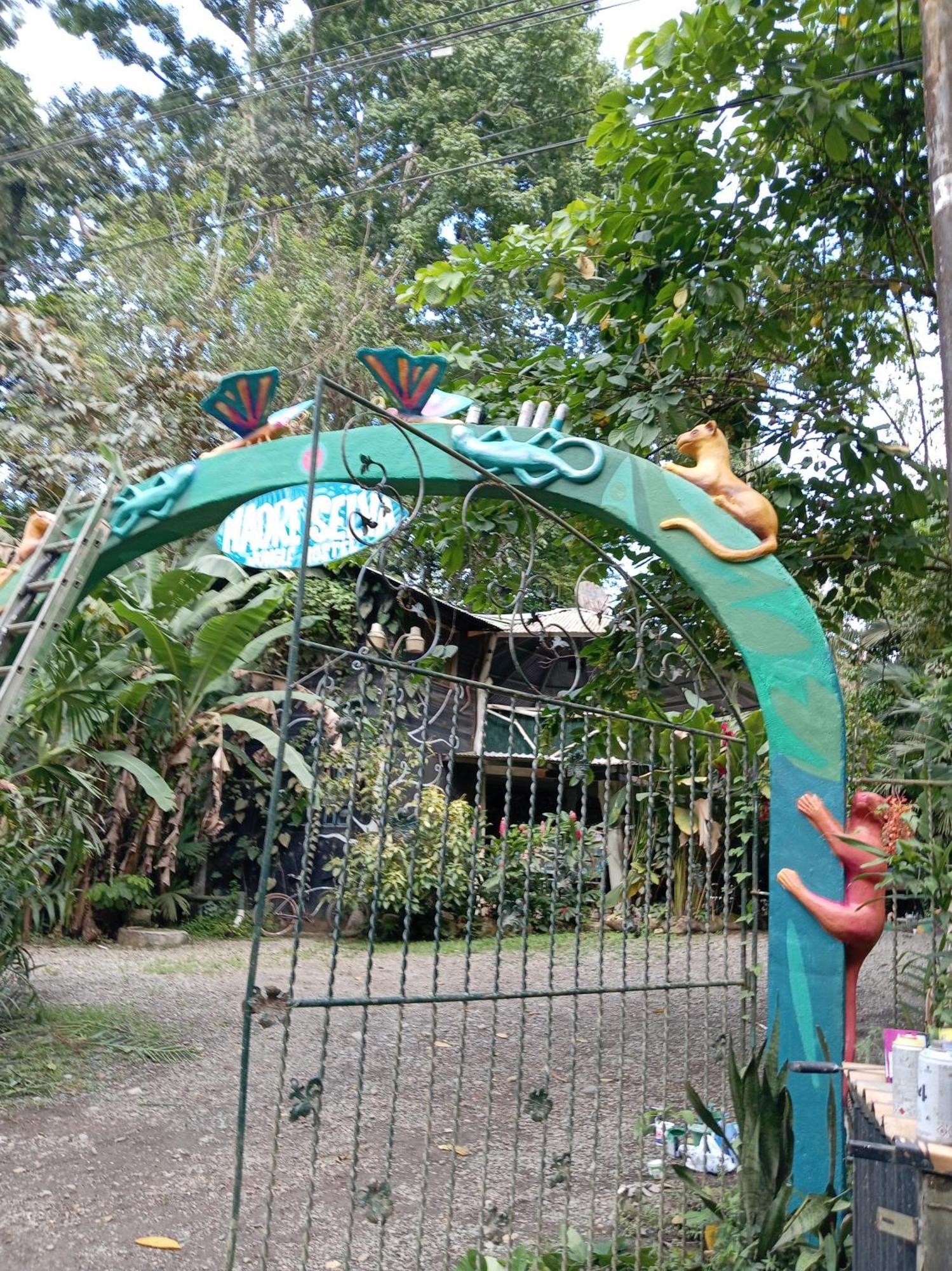 Madre Selva Hostel Puerto Viejo de Talamanca Buitenkant foto