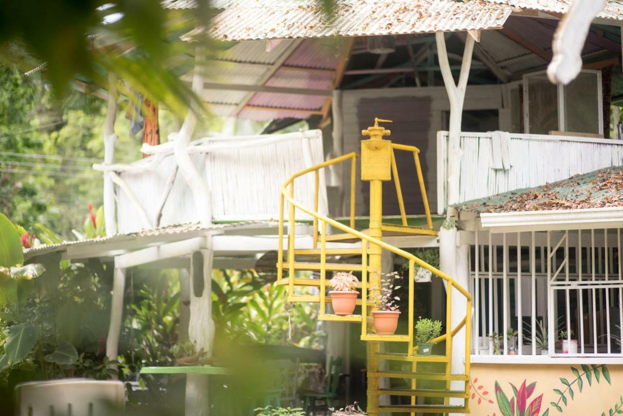 Madre Selva Hostel Puerto Viejo de Talamanca Buitenkant foto