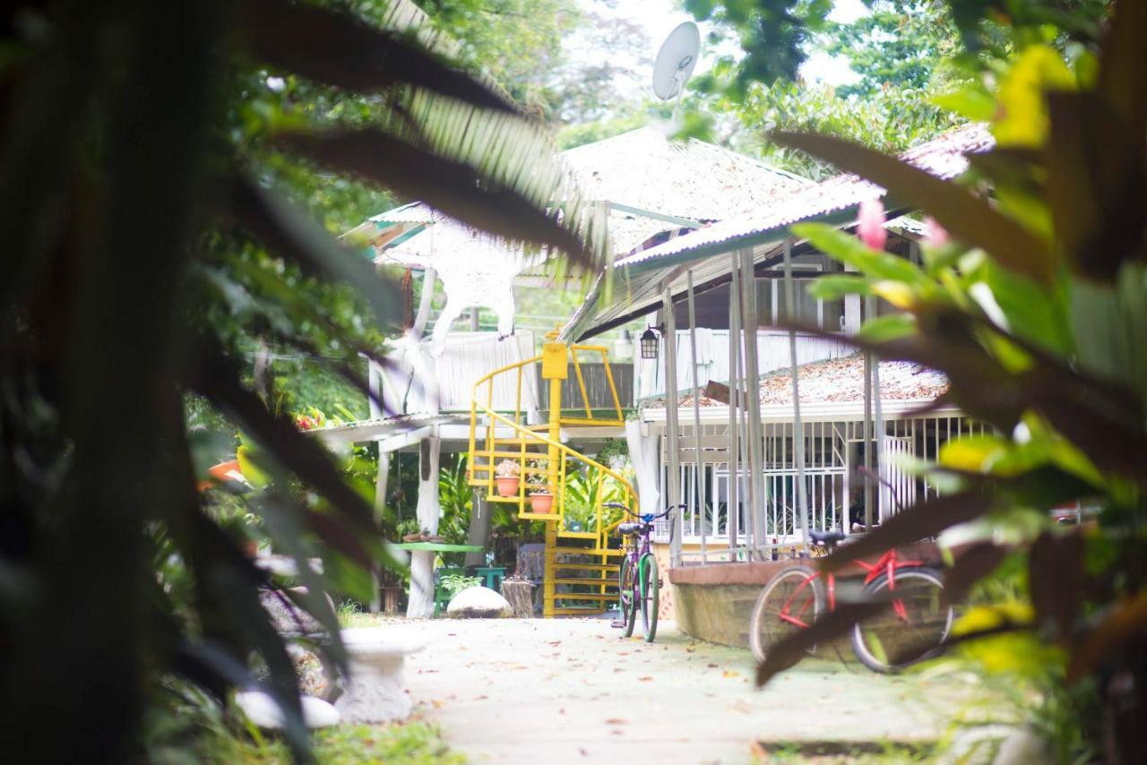 Madre Selva Hostel Puerto Viejo de Talamanca Buitenkant foto